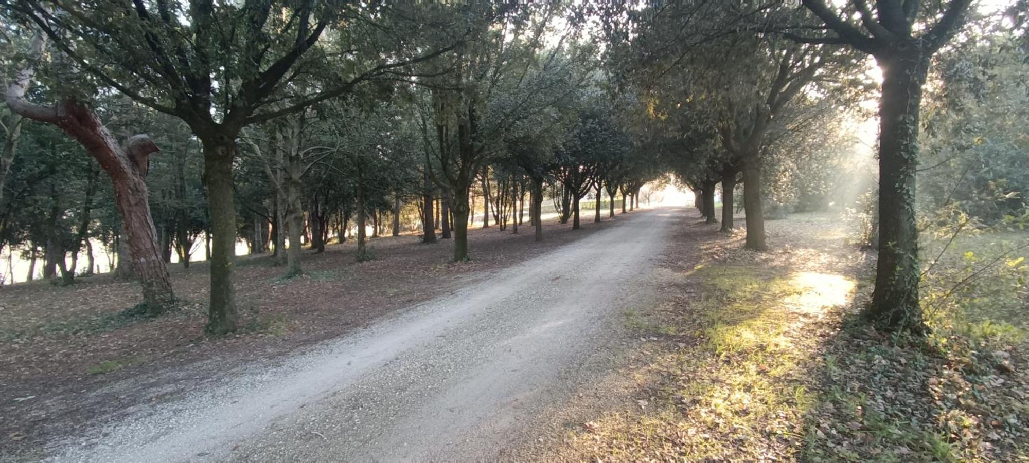 Tenuta Del Viandante Filottrano Exterior foto